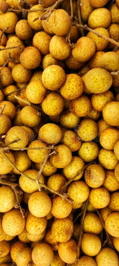 Harvested Longan Fruits