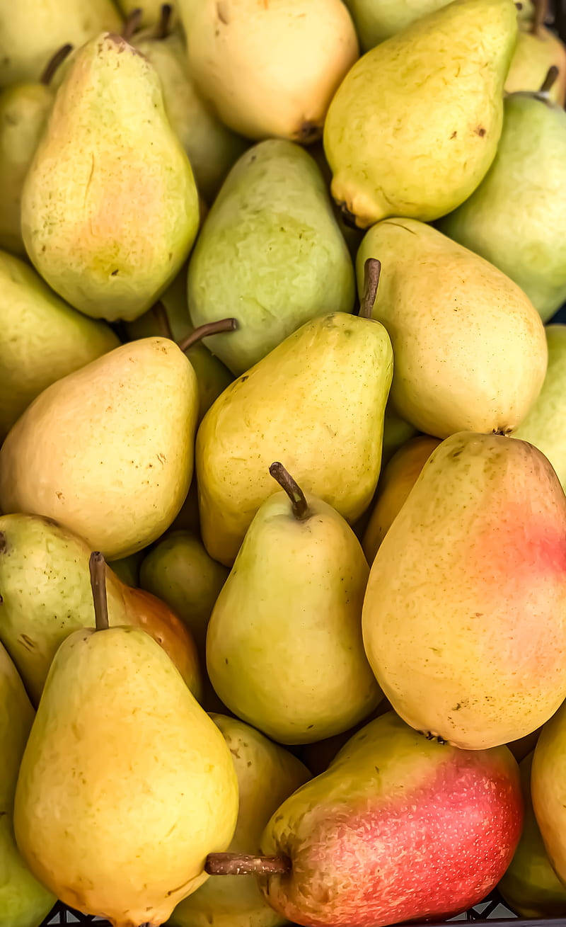 Harvested Pear Fruits Background