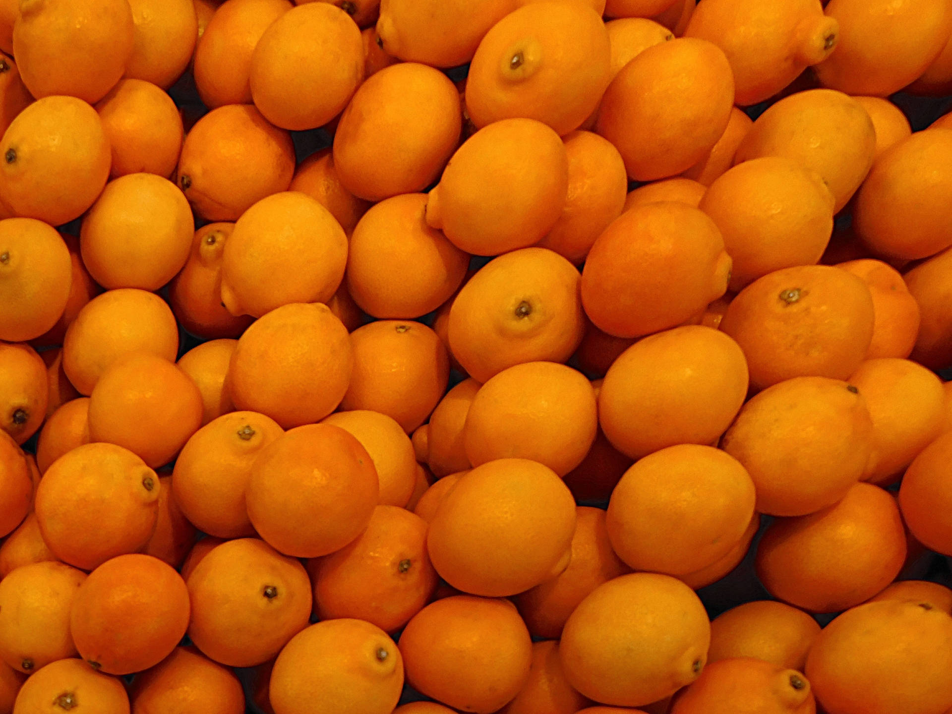 Harvested Tangelo Fruits Background