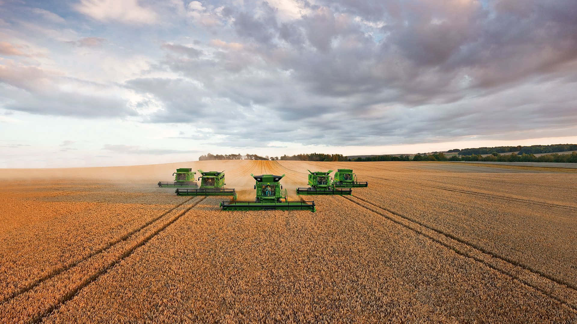 Harvesting Season Combine Harvestersin Field Background