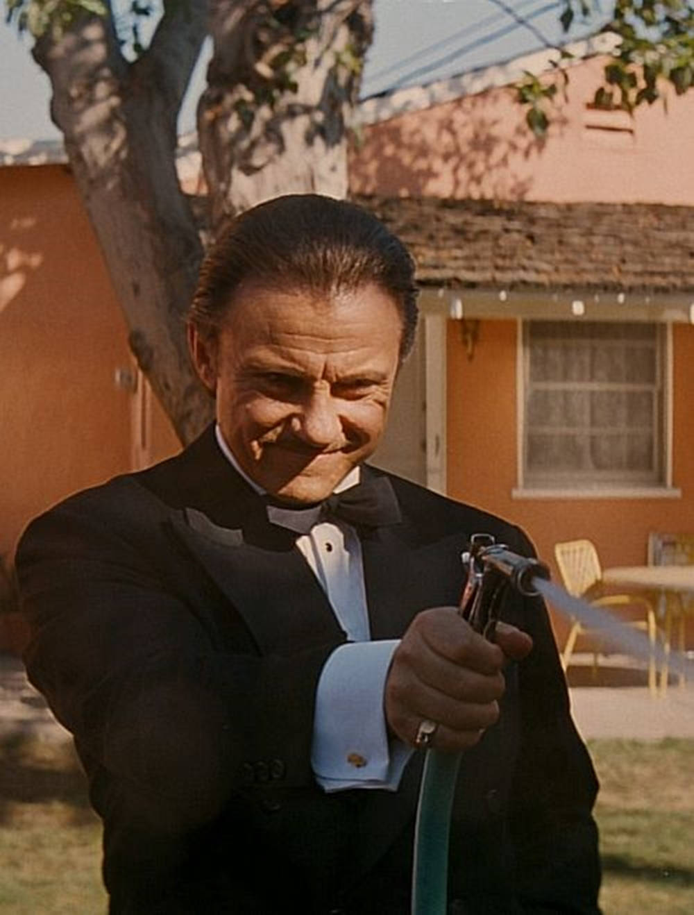 Harvey Keitel Sly Smirk Background