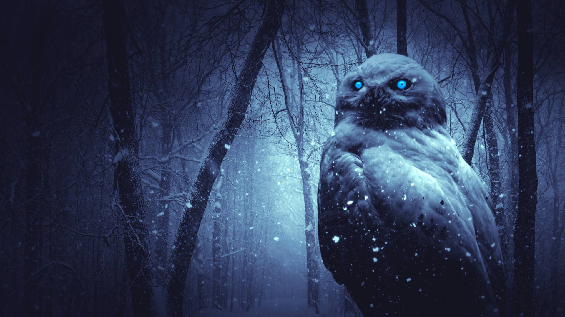 Haunting Winter Aesthetic Owl Background