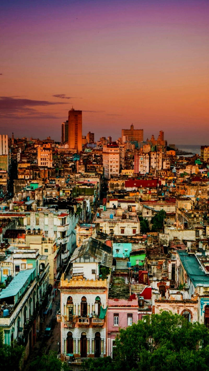 Havana Sunset Phone Overhead Background