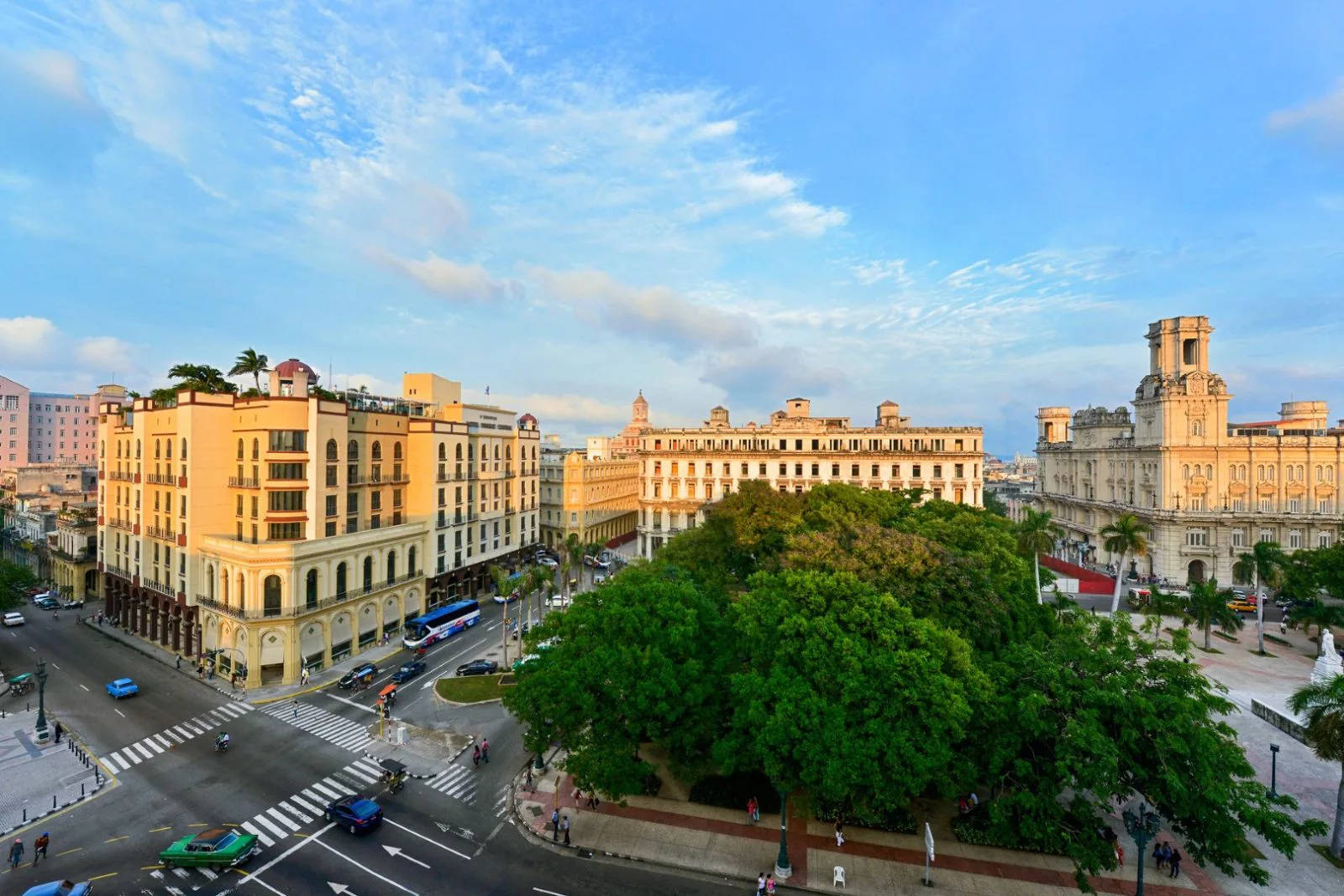 Havana Trees Plaza Background