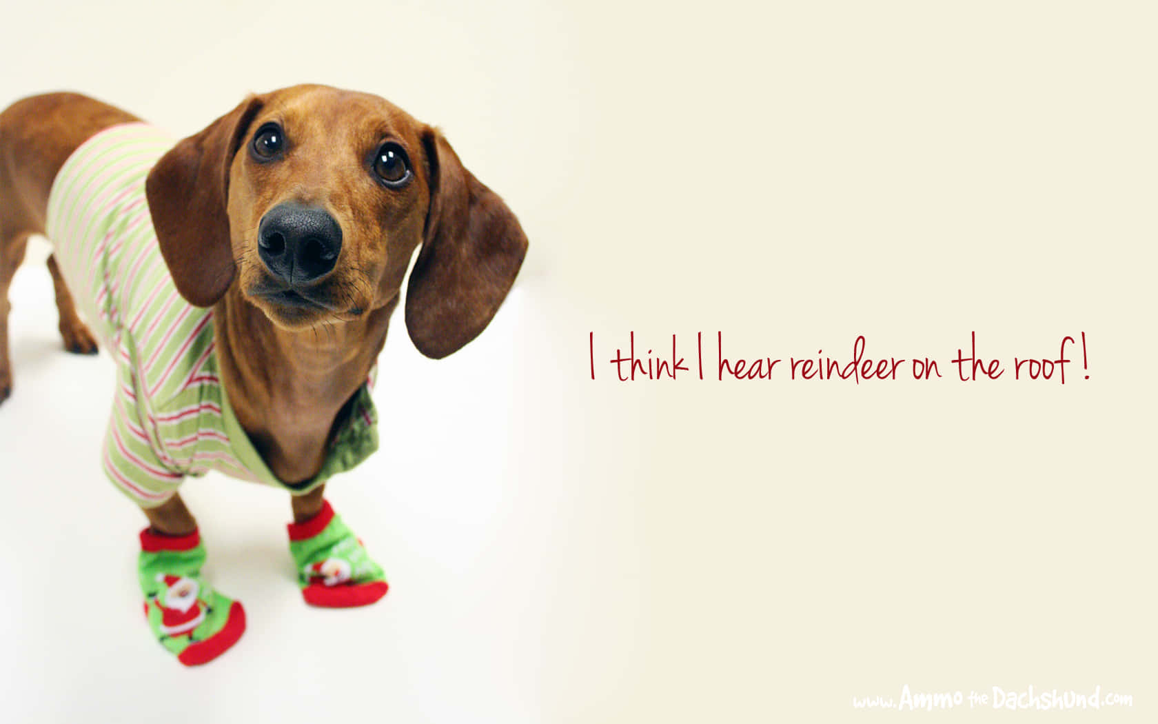 Have A Laugh With This Fun Holiday Desktop Background