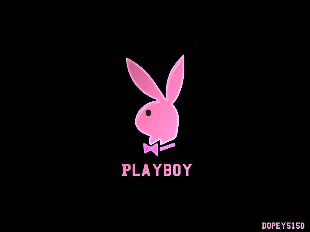 Have Fun With Play Boy