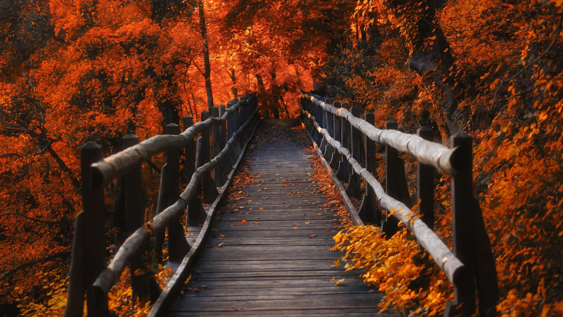 Have The Perfect View Of Autumn With This 3840 X 2160 Wallpaper Background