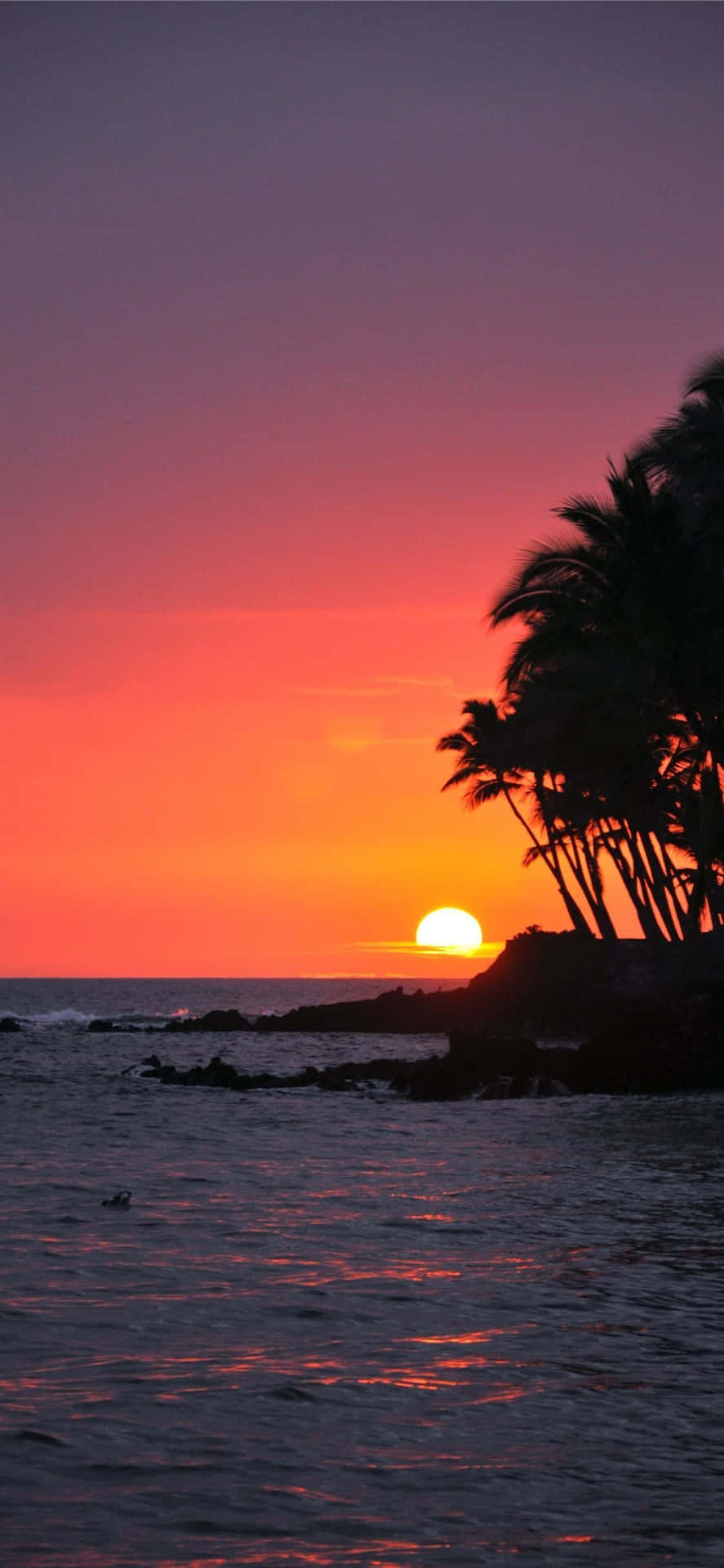 Hawaii - An Island Paradise Background