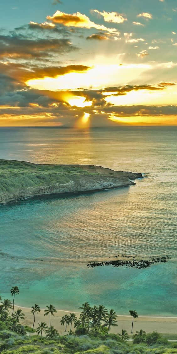 Hawaii Beach Aerial Perspective Iphone Background