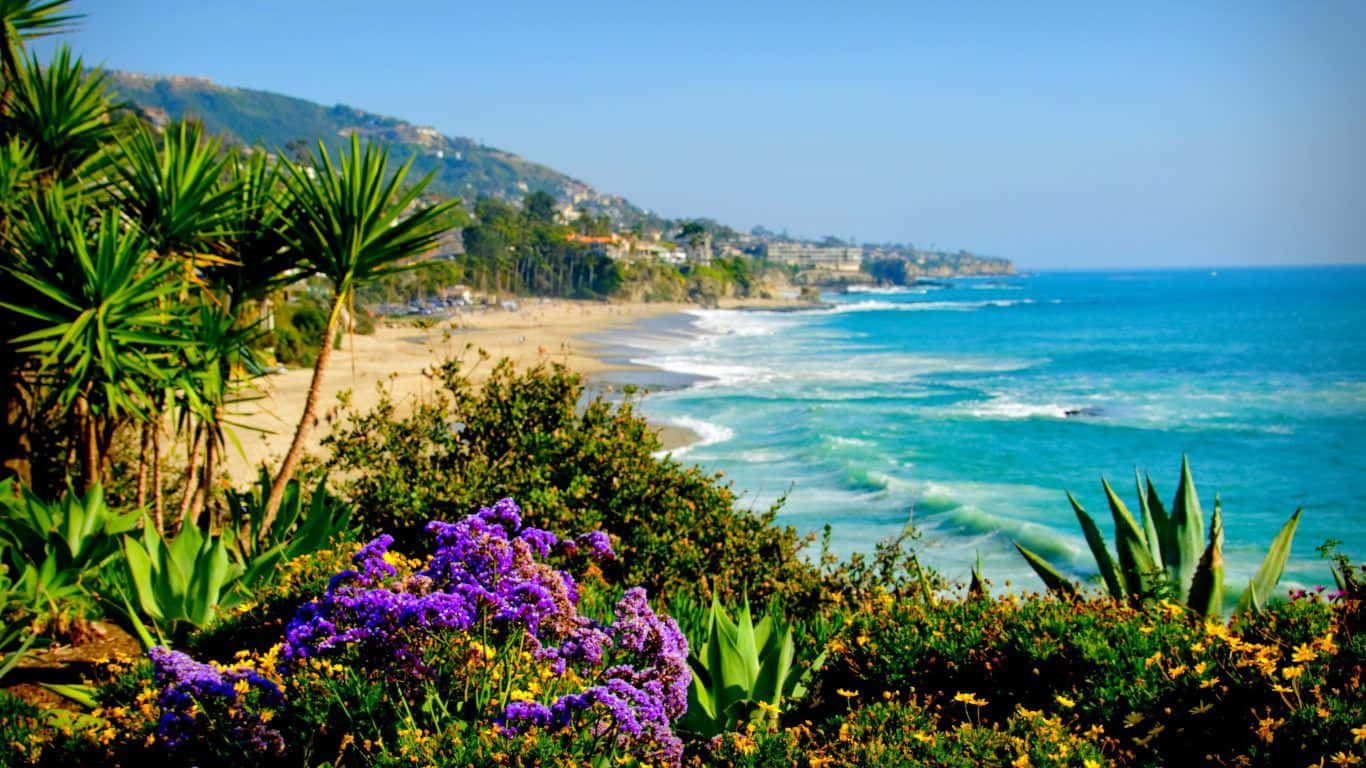 Hawaii Beach Green Plants Background