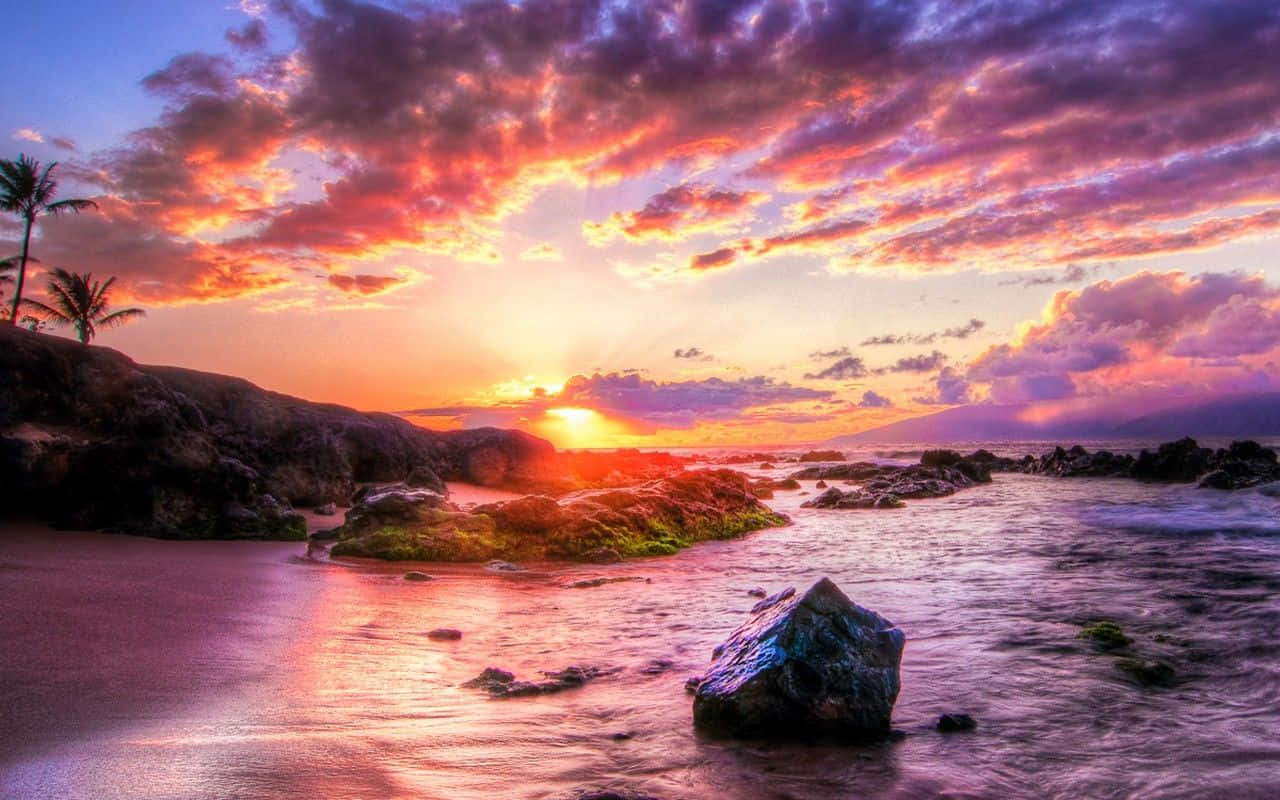 Hawaii Beach Mossy Rocks Sunset