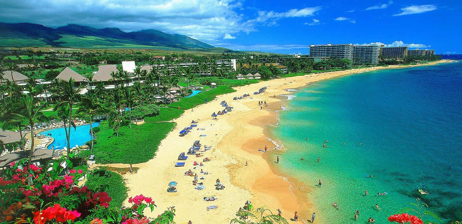 Hawaii Beach People On Vacation