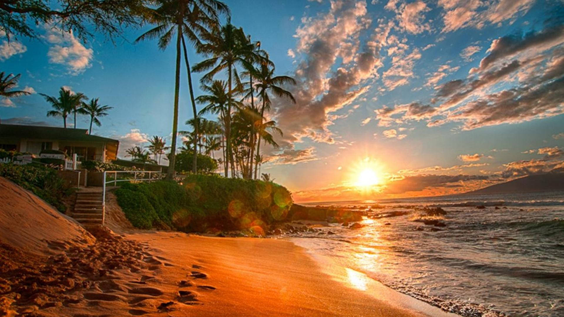 Hawaii Beach Sunset Background
