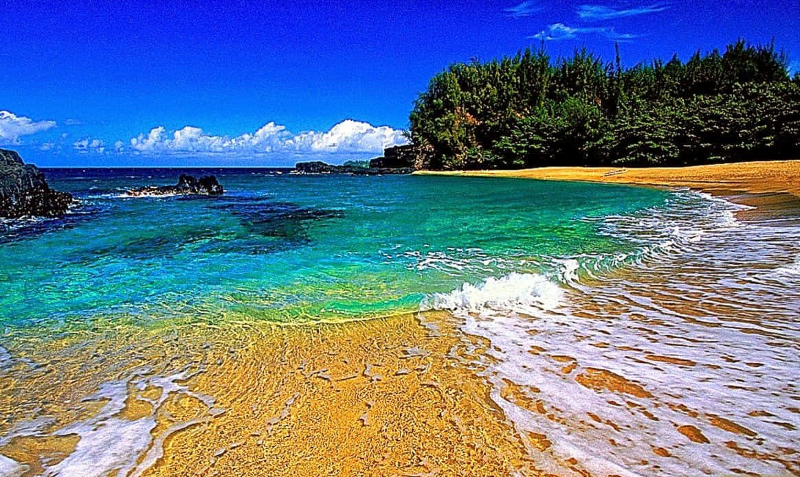 Hawaii Beach Water On Shore