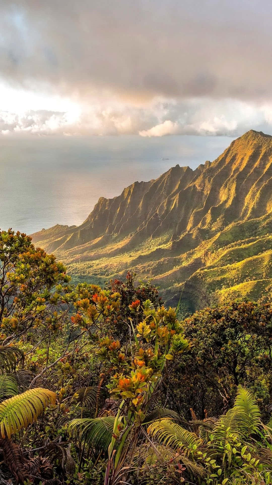 Hawaii Green Mountain Iphone Background