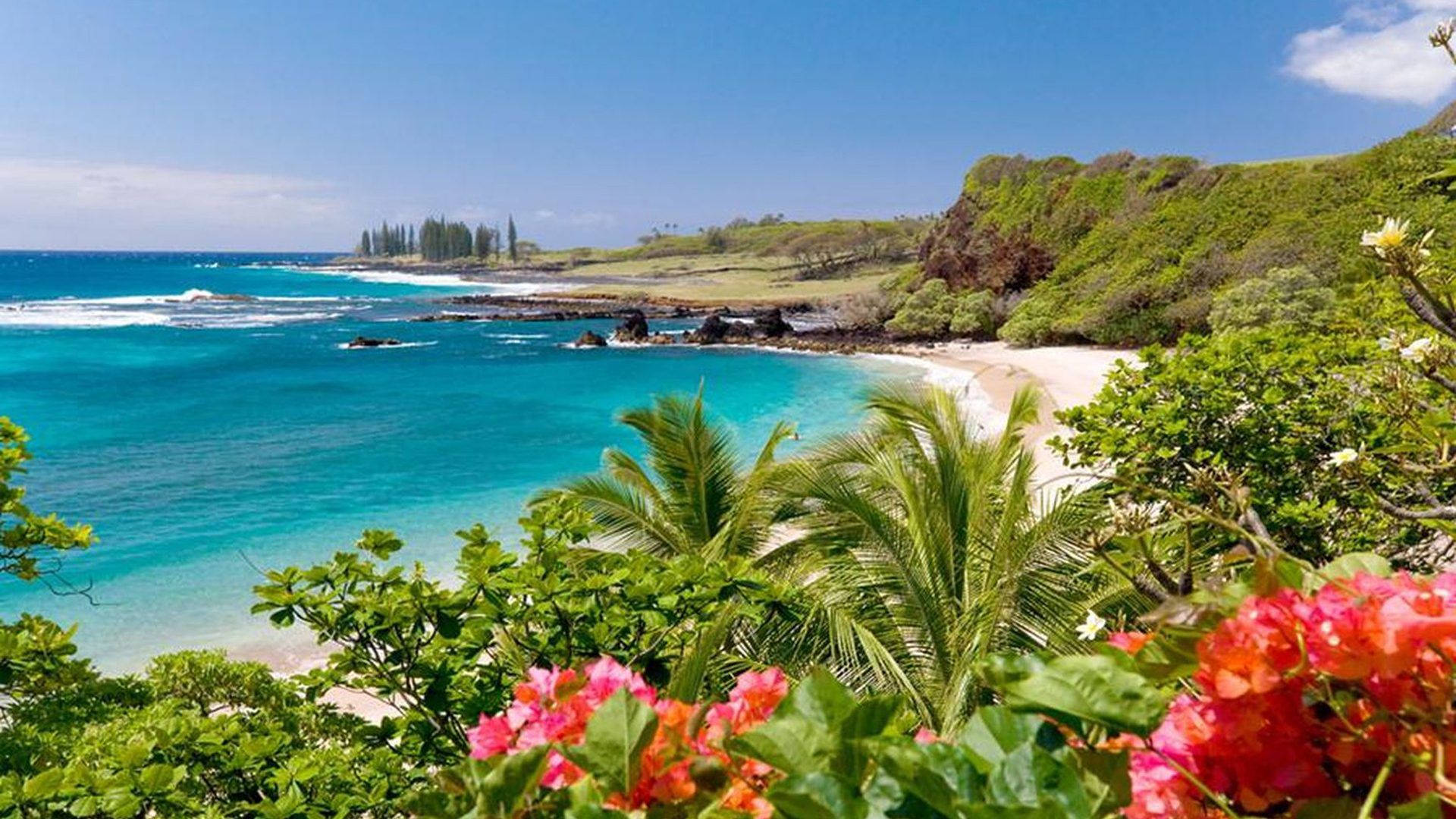 Hawaii Hamoa Beach Background