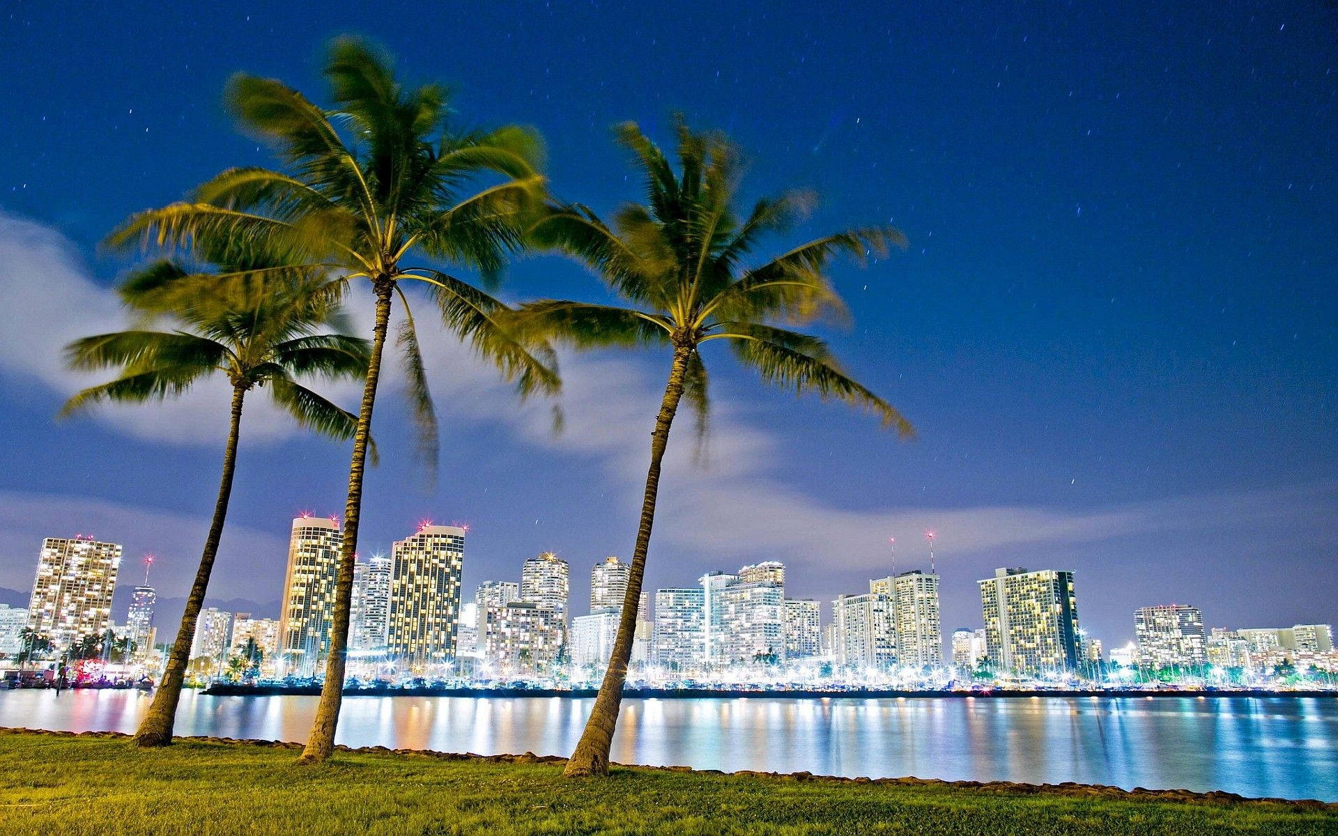 Hawaii Honolulu Lake Palm Trees Background