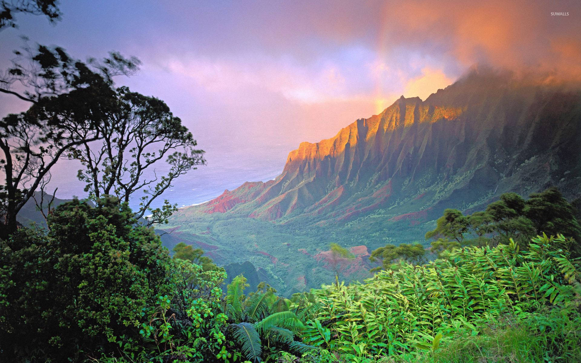 Hawaii Kalalau Valley Background