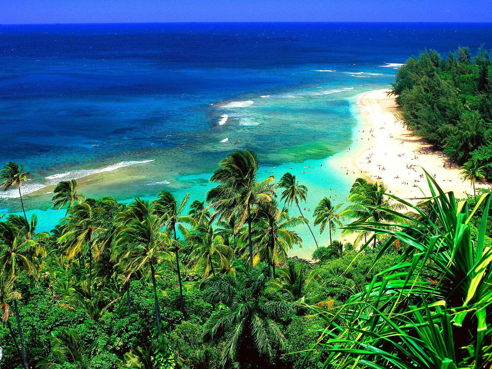 Hawaii Kauai Island Background