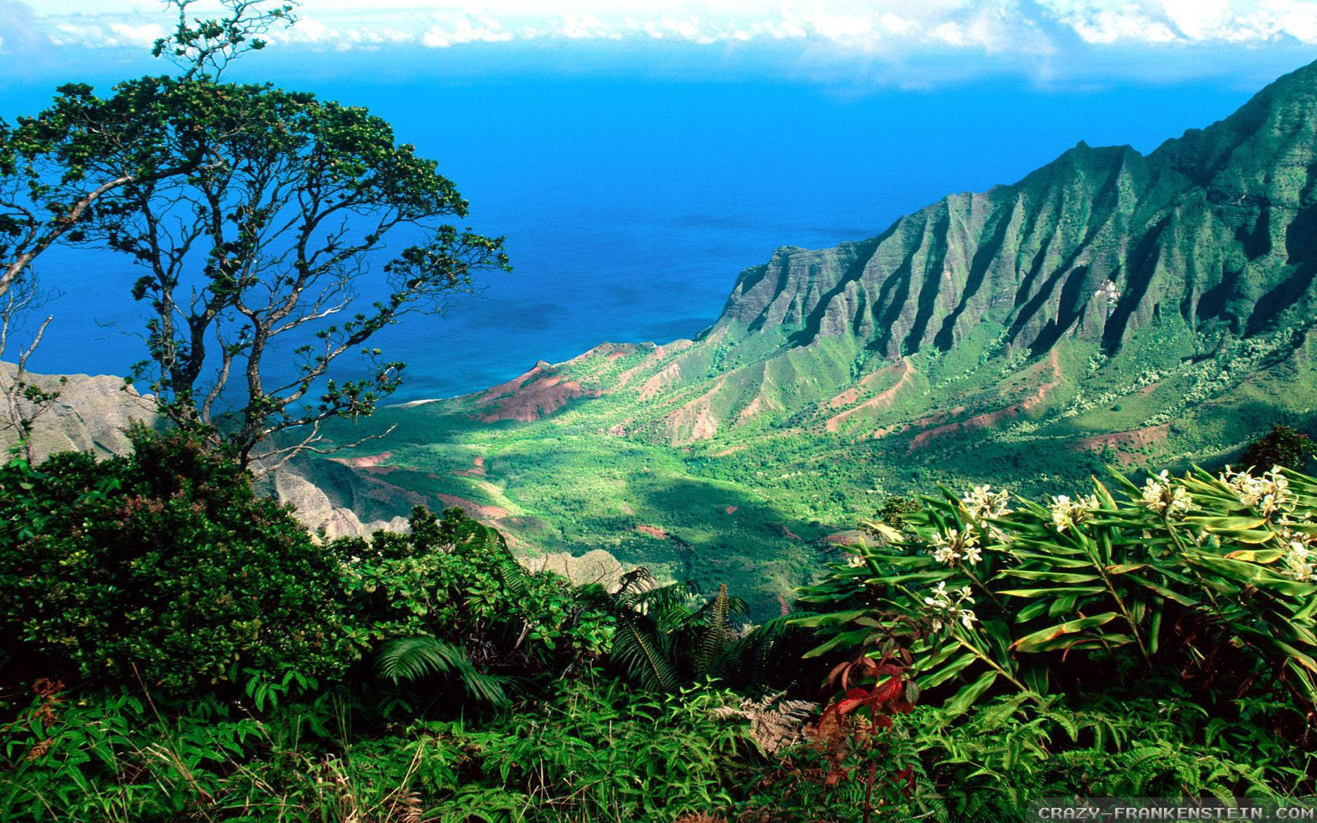 Hawaii Nāpali Coast State Park Background