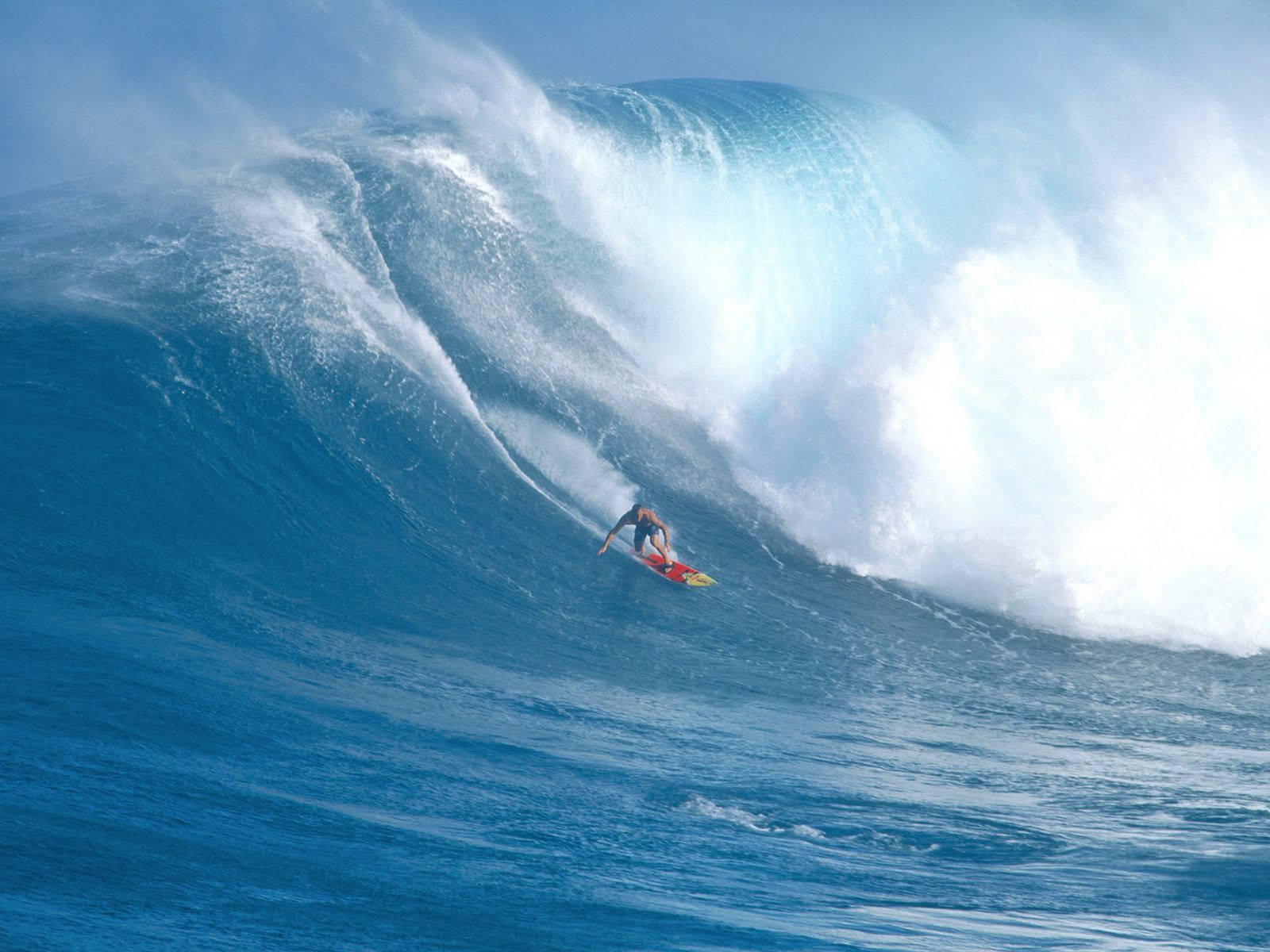 Hawaii Ocean Wave Surfing Background