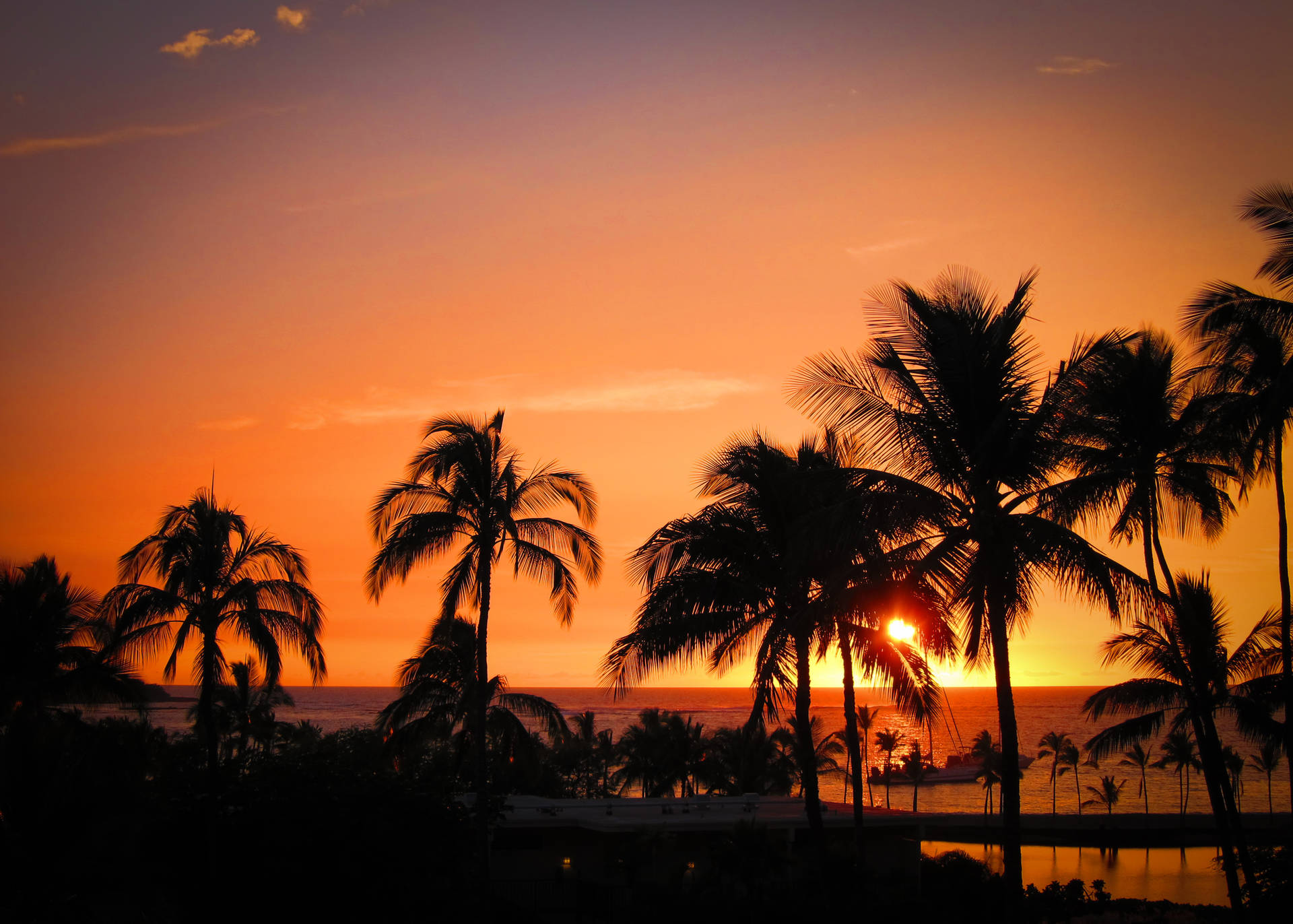 Hawaii Palms Silhouette Sunset Background