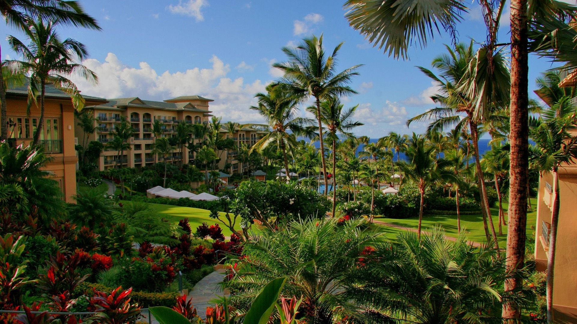 Hawaii Resort Hotel Background