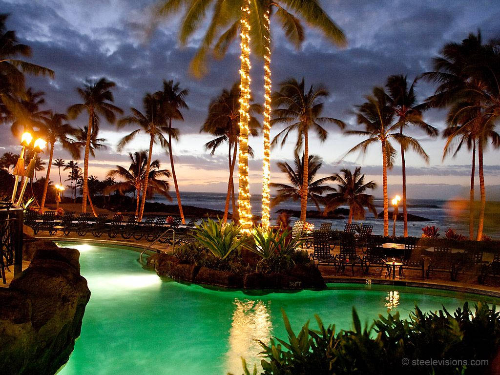 Hawaii Tropical Beach Resort Background