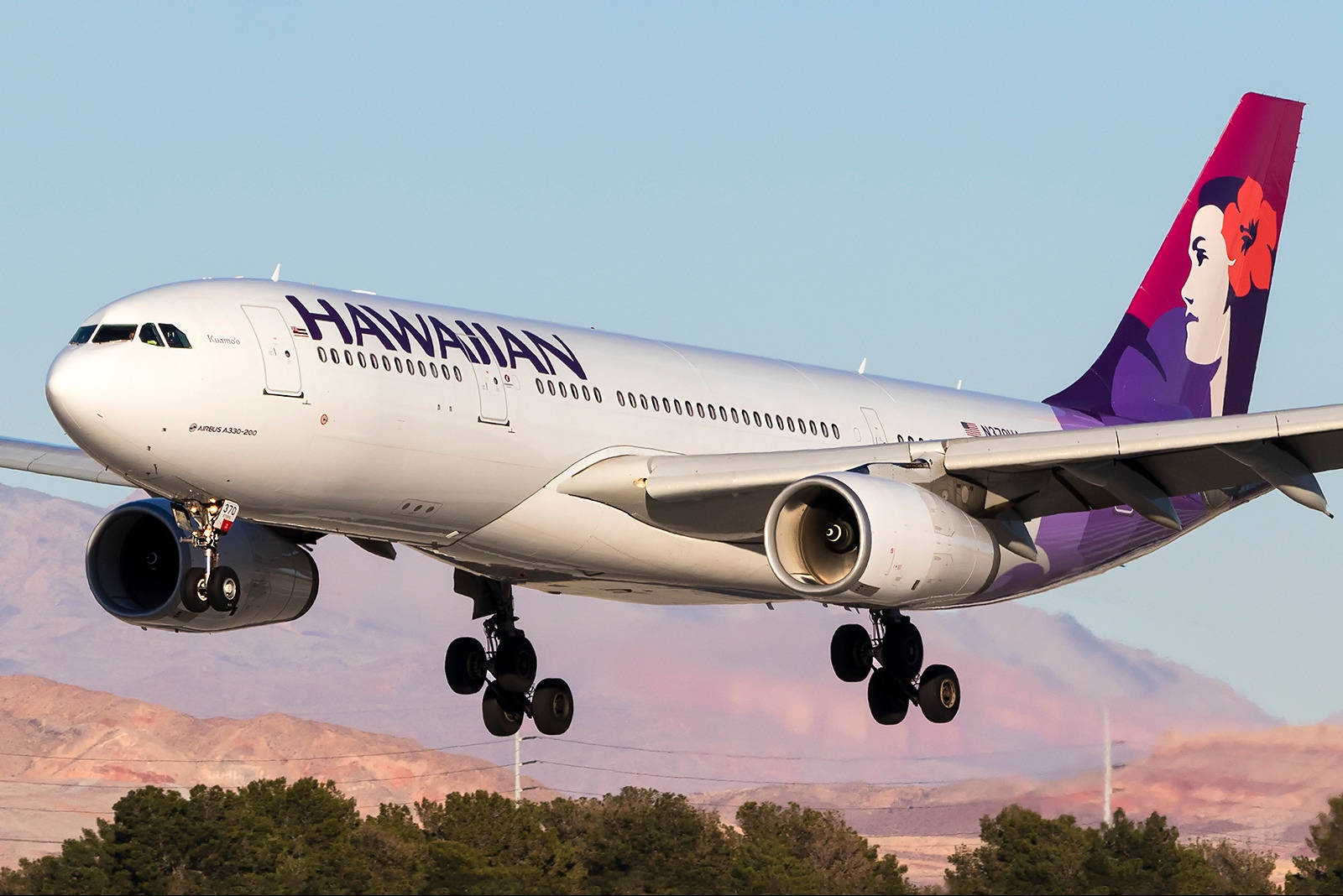 Hawaiian Airlines Plane And Dry Mountains Background