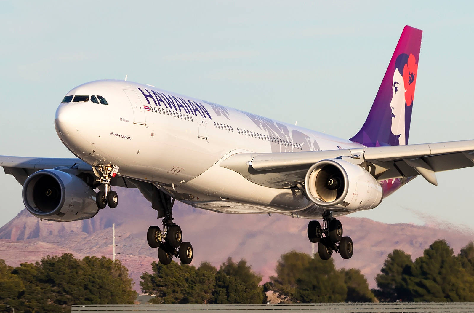 Hawaiian Airlines Plane In Close-up Background