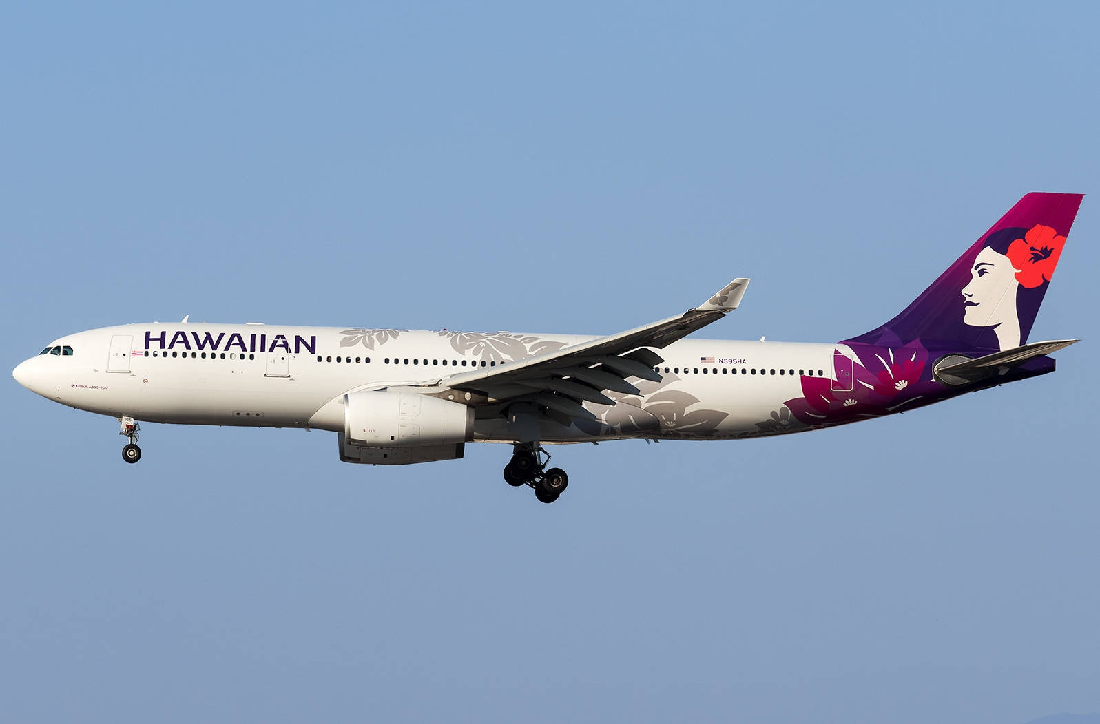 Hawaiian Airlines Plane On A Cloudless Sky Background