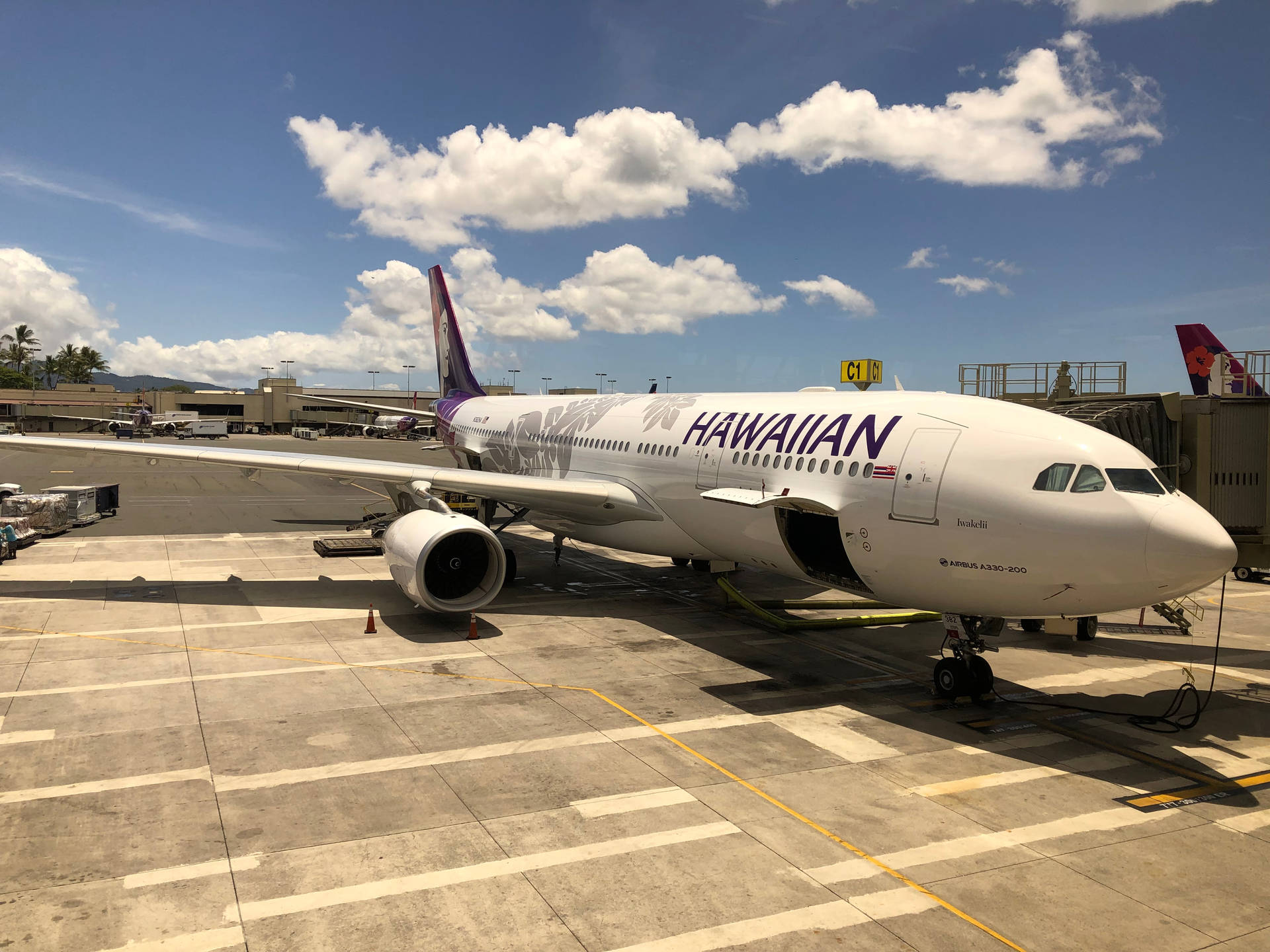 Hawaiian Airlines Plane Out In The Sun Background