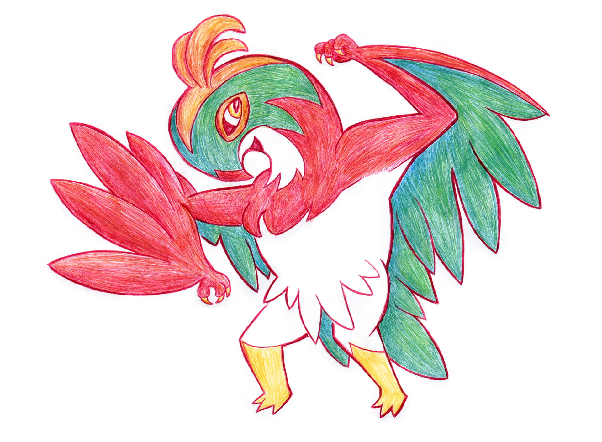 Hawlucha Colored Pencil Artwork Background