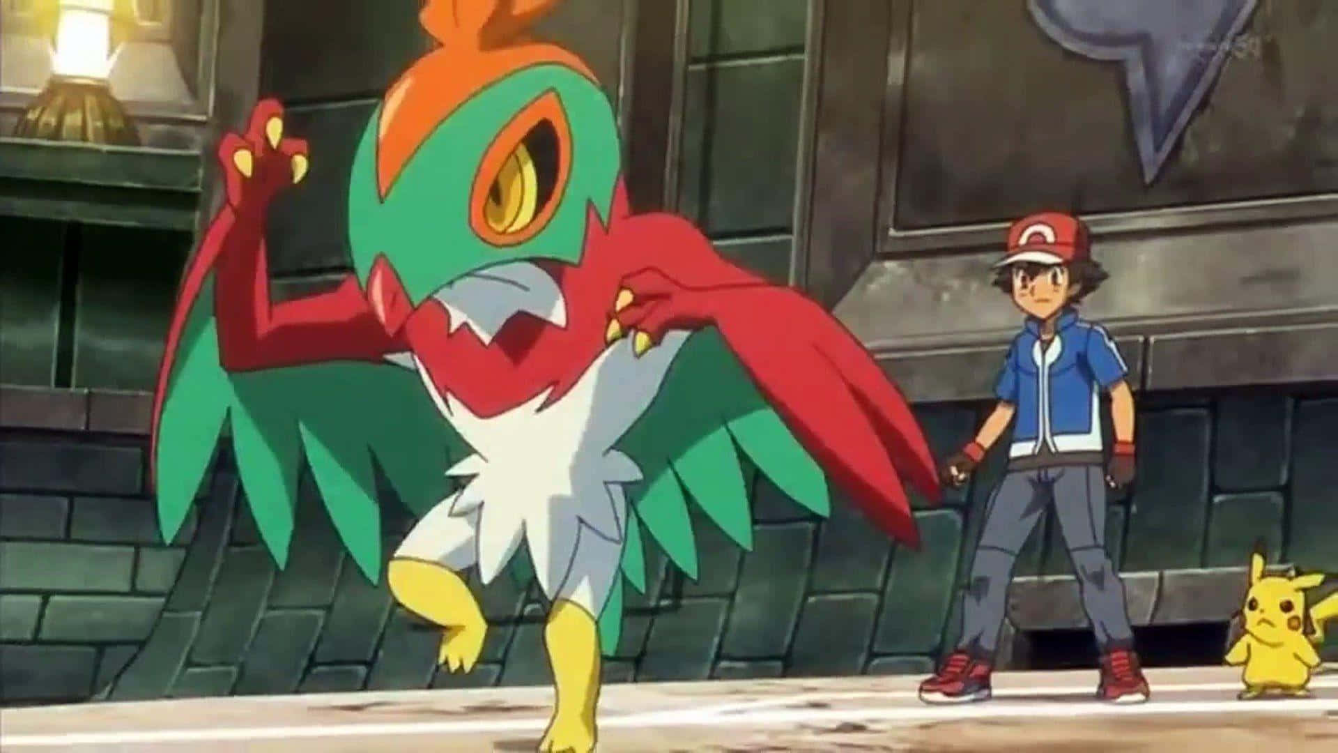 Hawlucha Ready To Battle