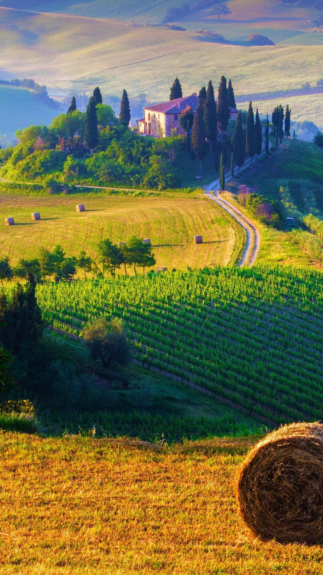 Hay Bale In Tuscany Italy Background