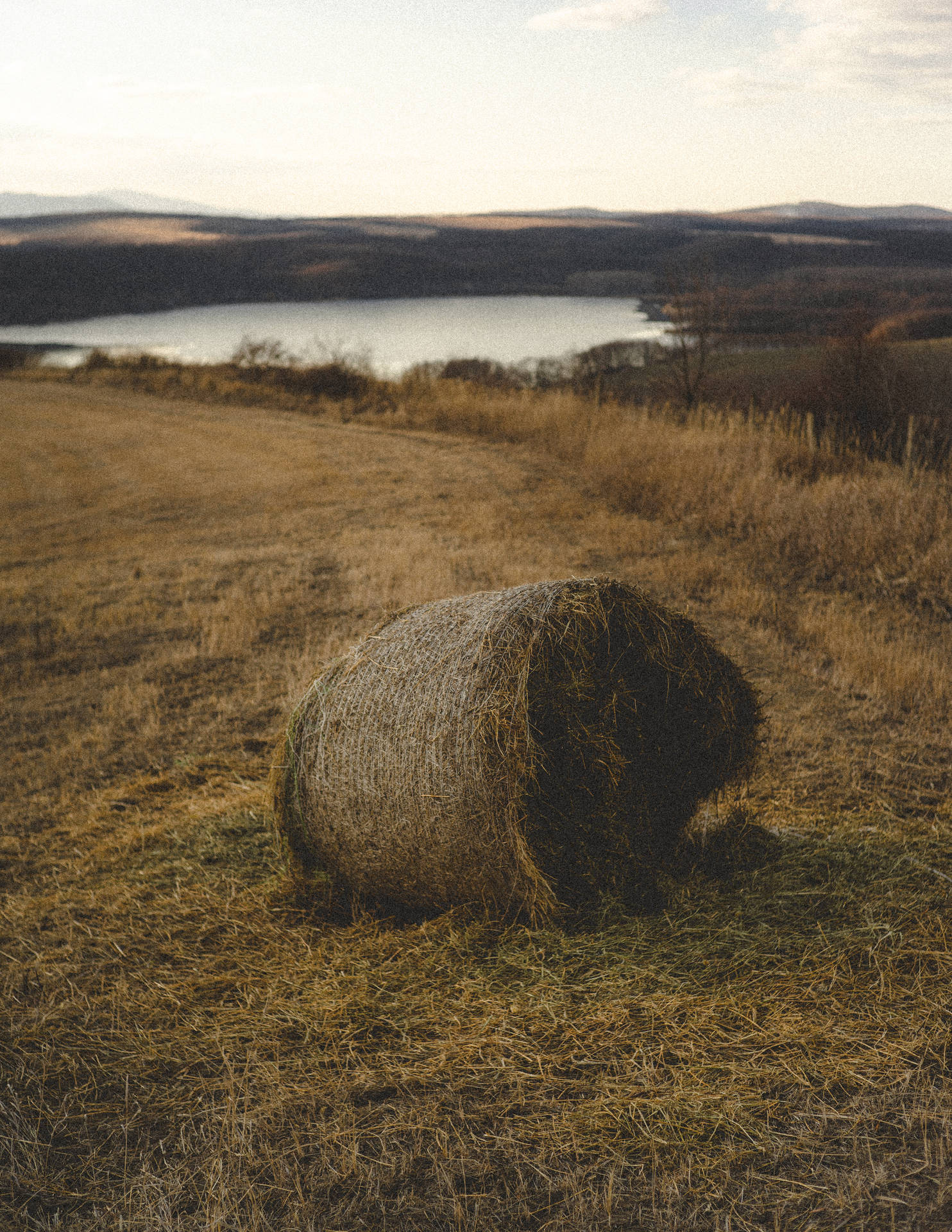 Hay Bale On Hungary Farmland Background