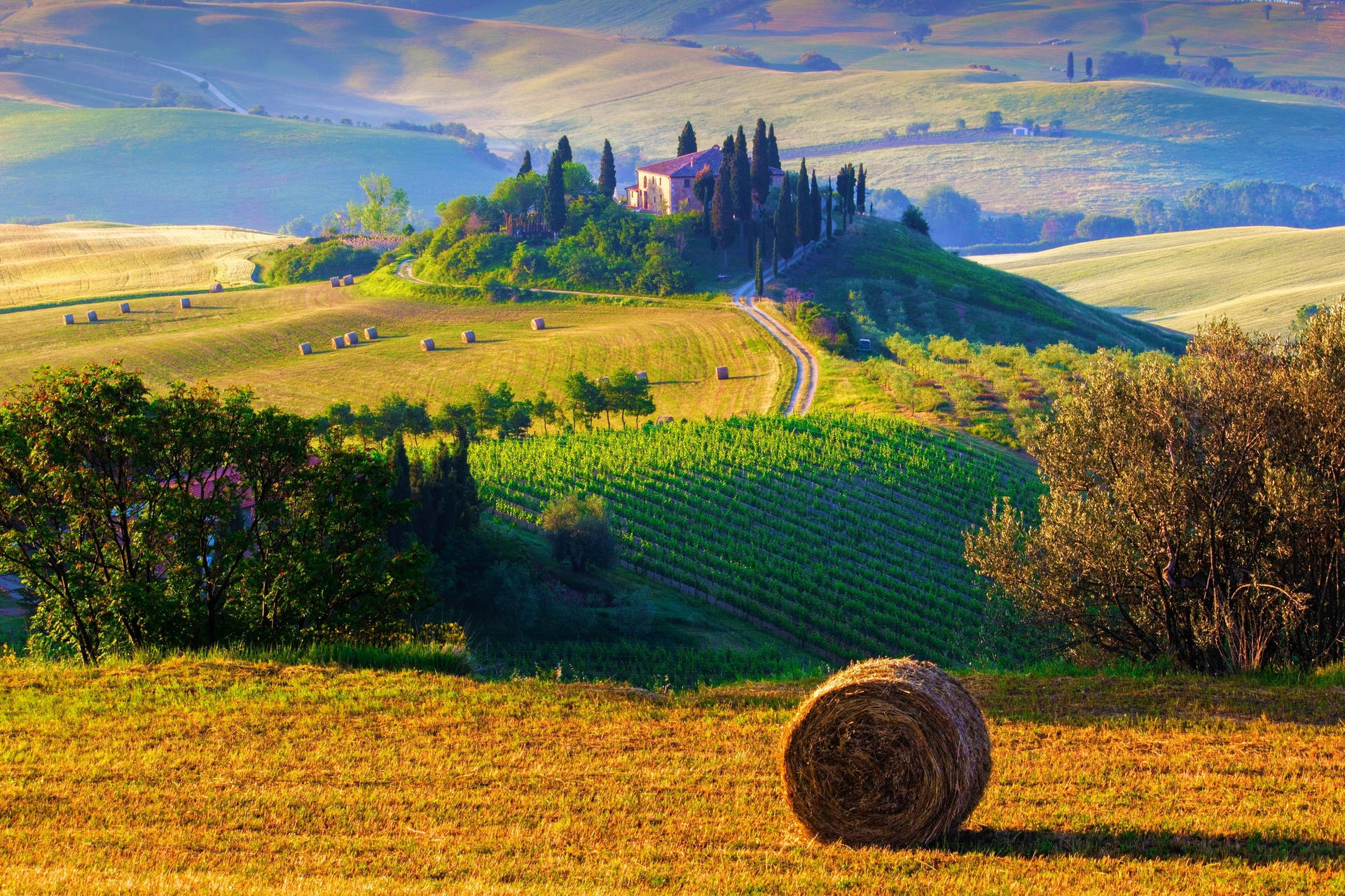 Hay Bale On Tuscany Hill Background