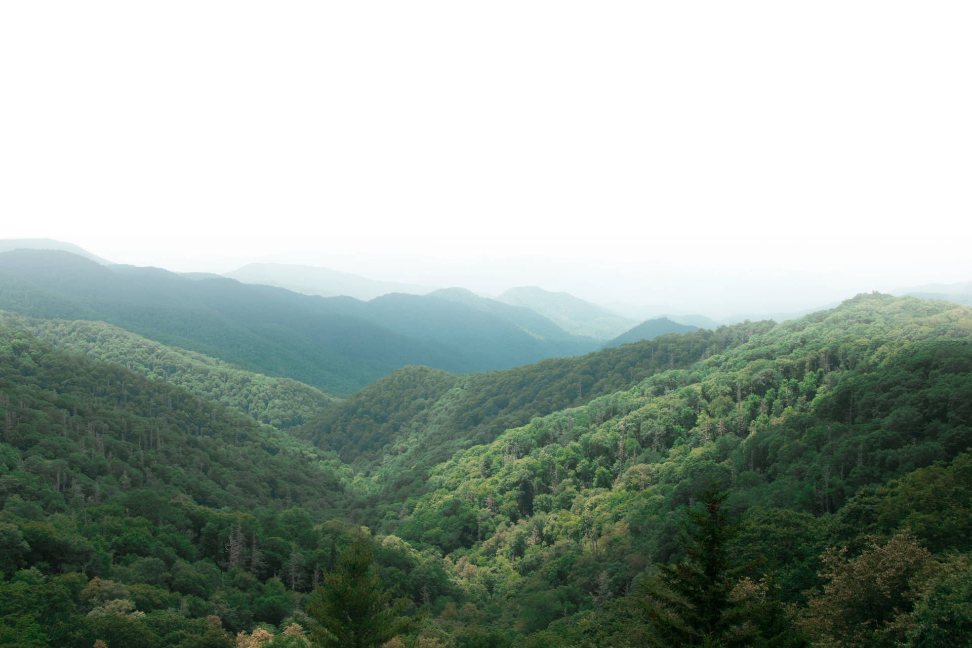 Hazy Smoky Mountains Background