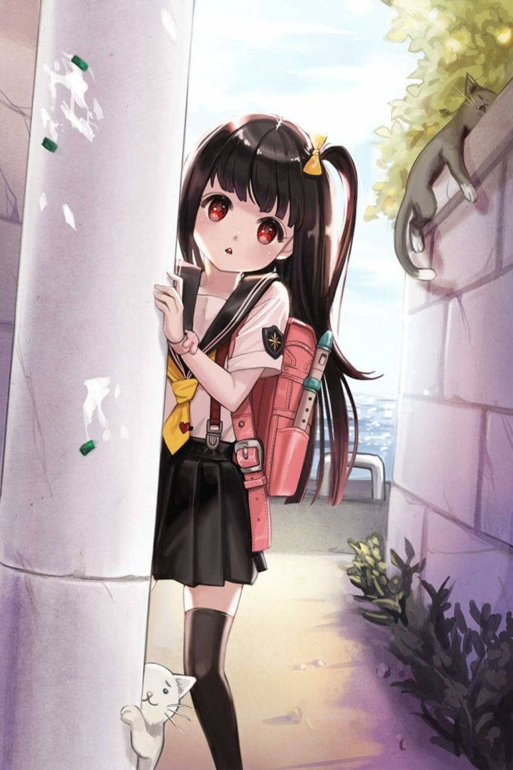Hd Anime Phone Schoolgirl And Kitten Behind Post Background