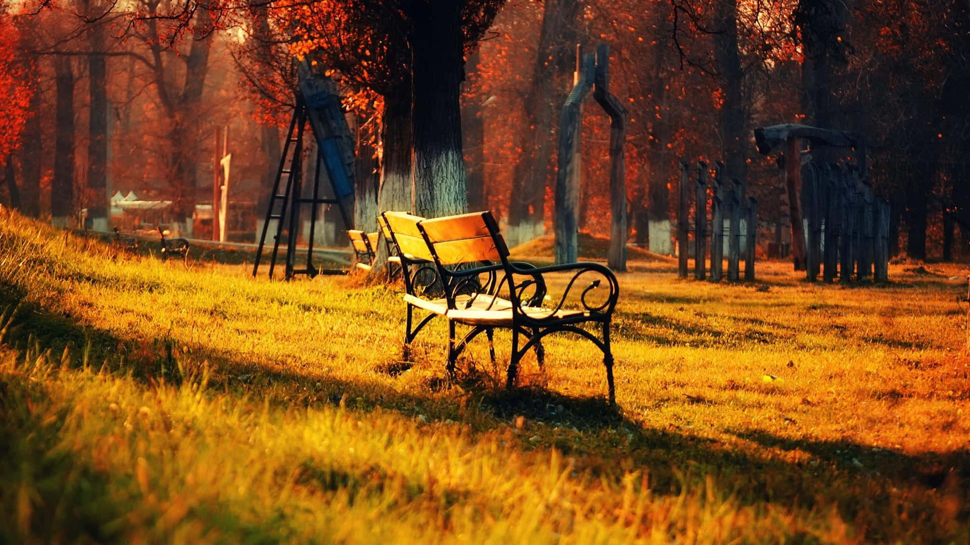 Hd Autumn Bench At A Playground Background