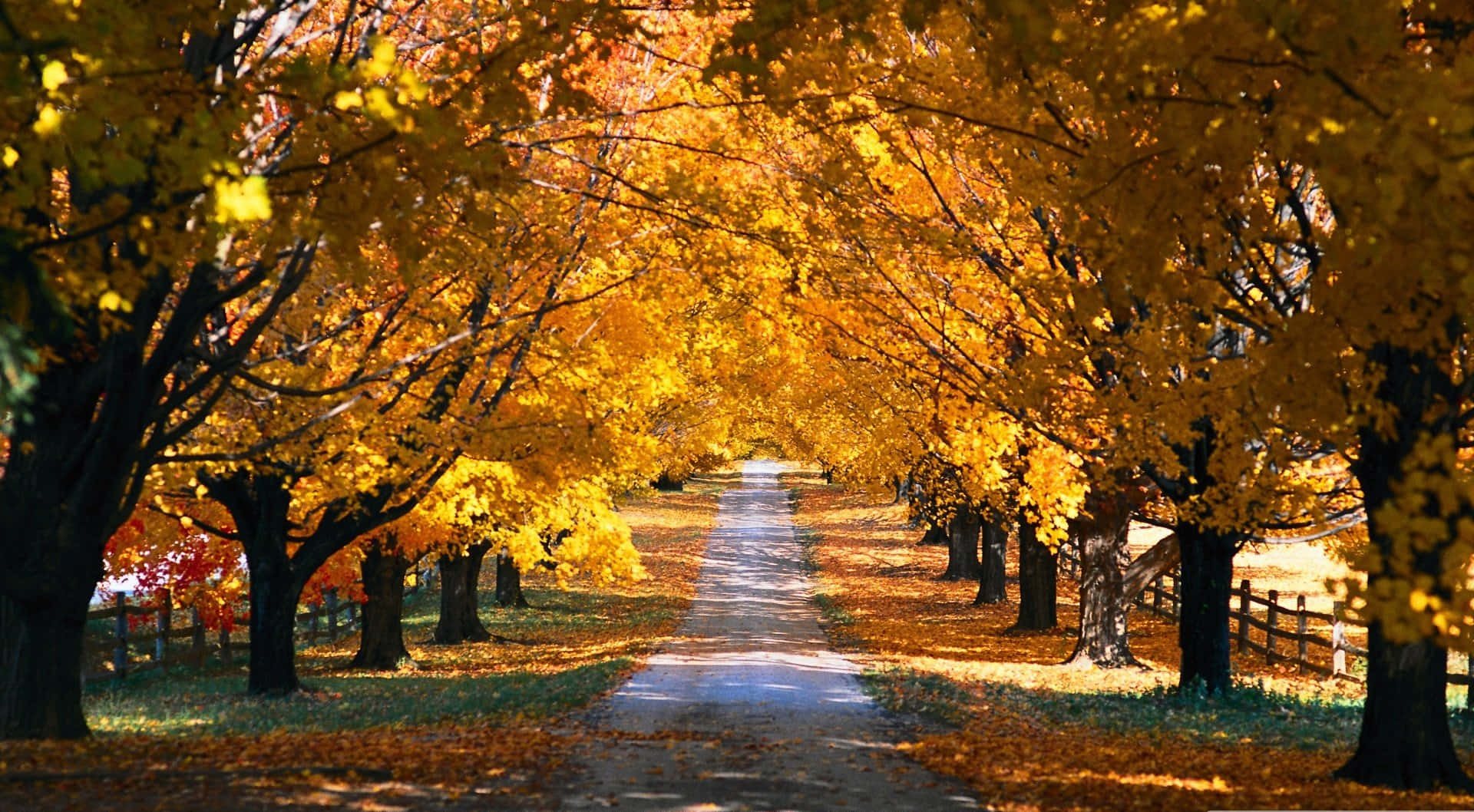 Hd Autumn Country Road Background