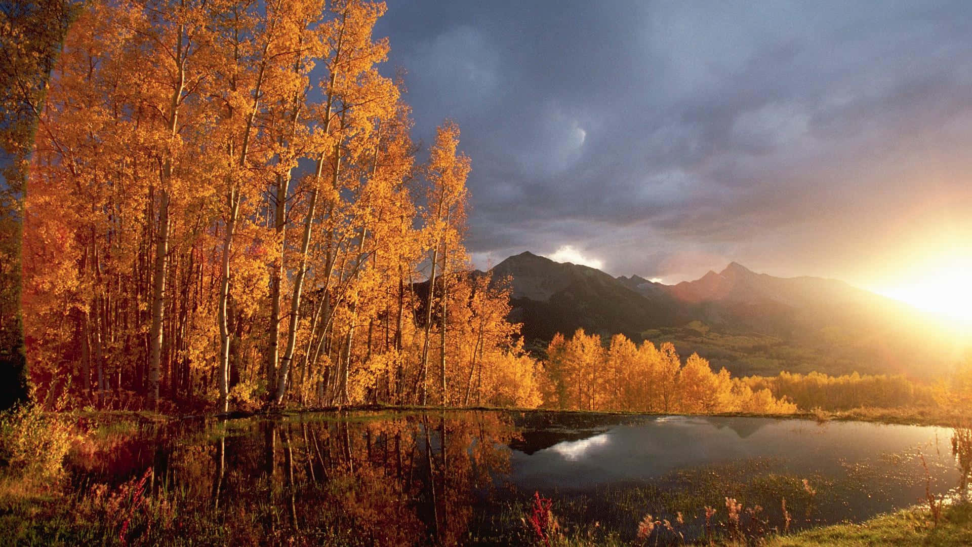 Hd Autumn Lake Background