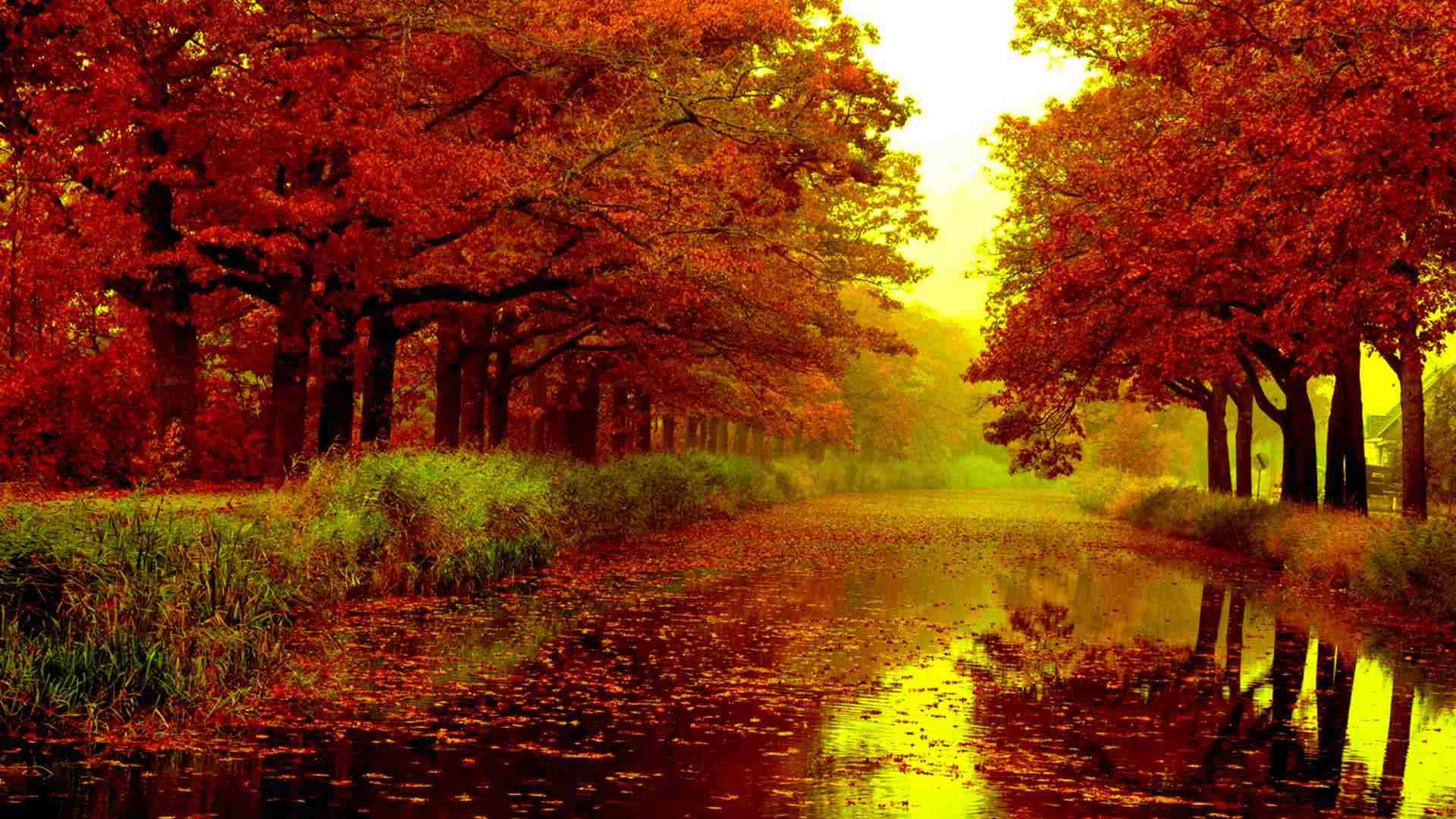 Hd Autumn River Background