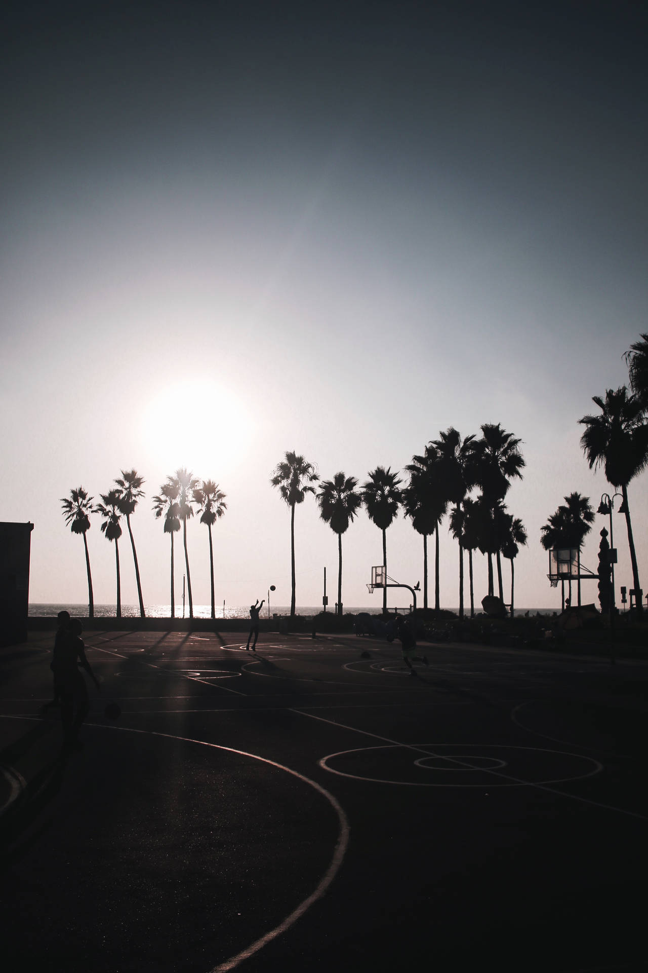 Hd Basketball Court With Trees Background