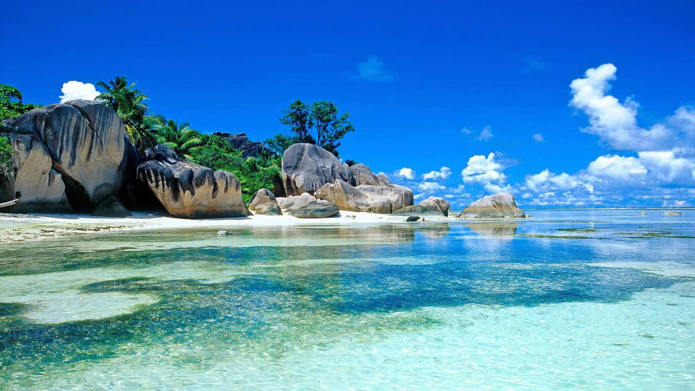 Hd Beach Island In Sri Lanka