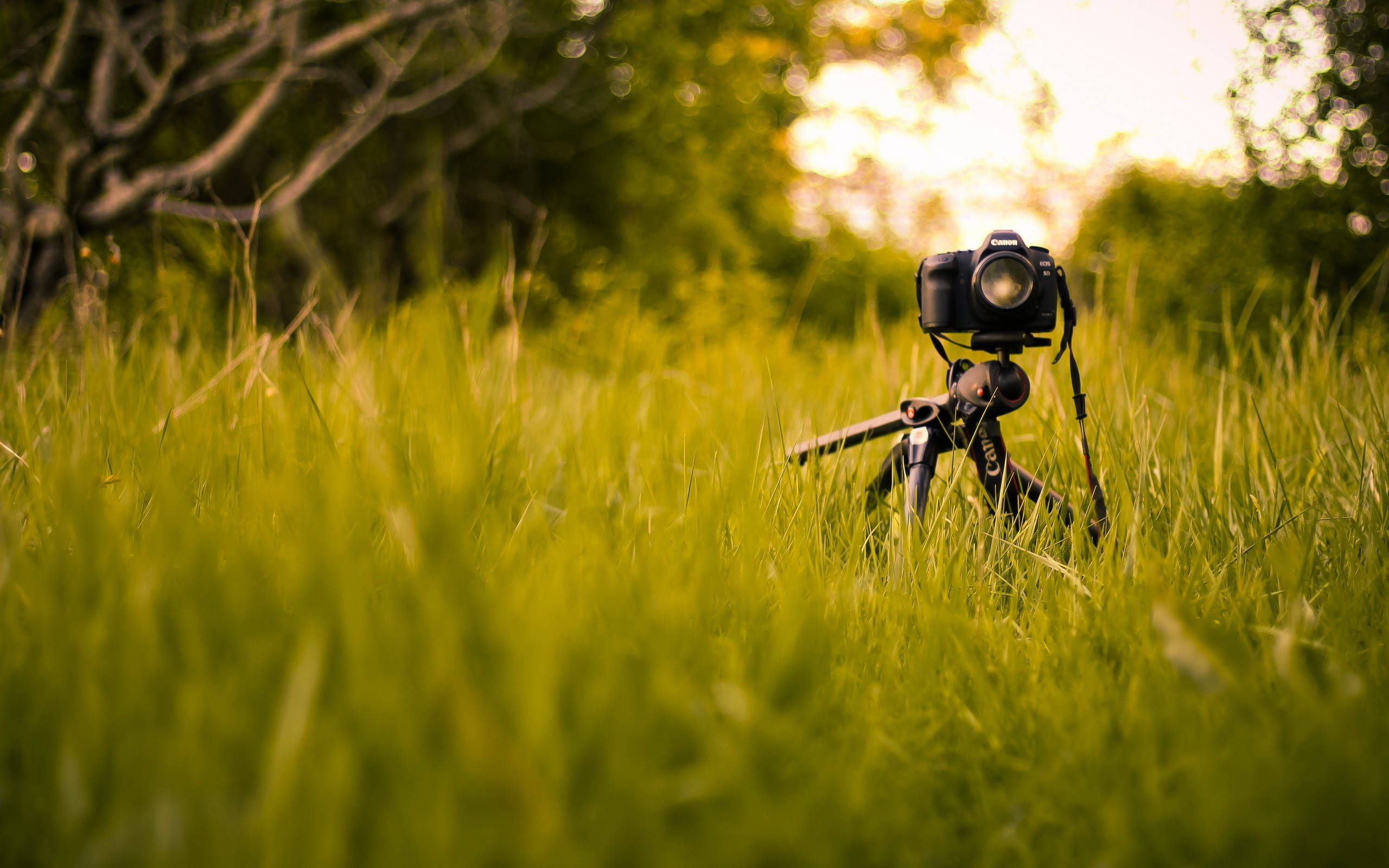 Hd Camera On A Tripod Background