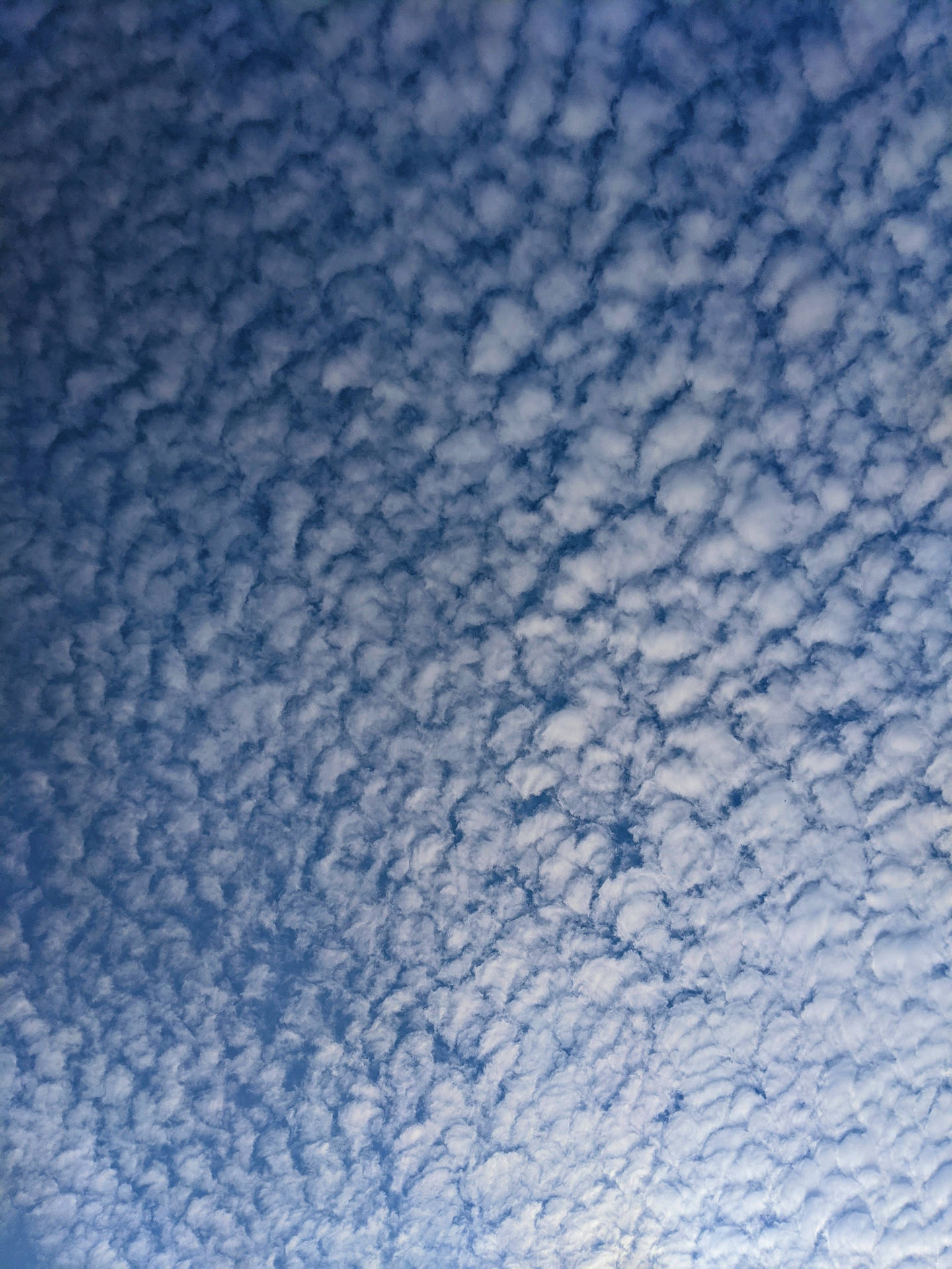 Hd Cirrocumulus Cloud Background