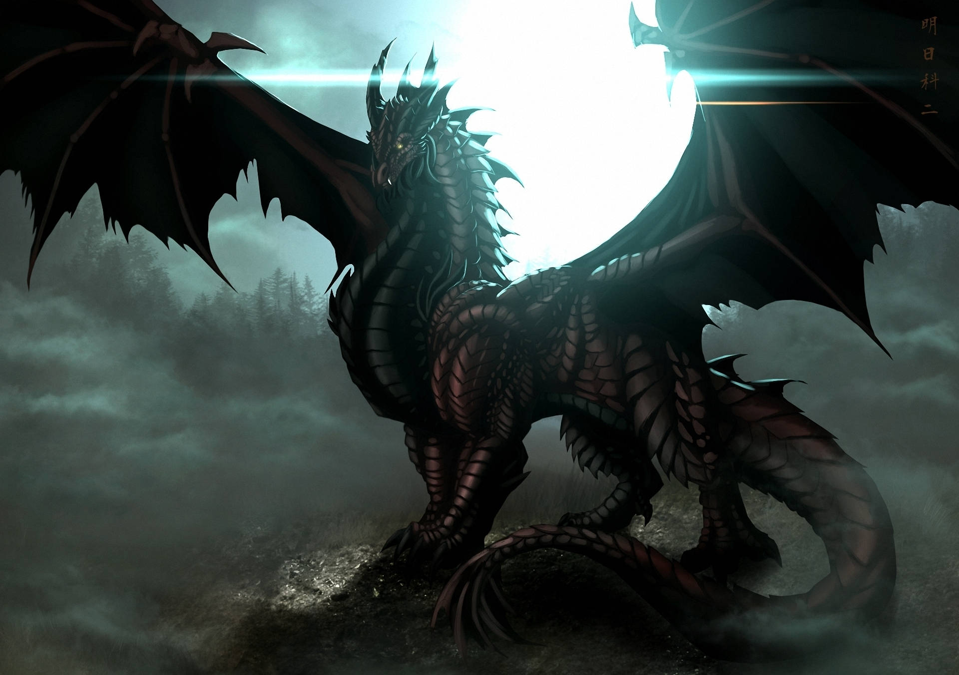 Hd Dragon Cool Black Background