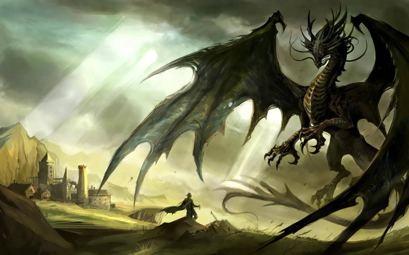 Hd Dragon Ferocious Black Background