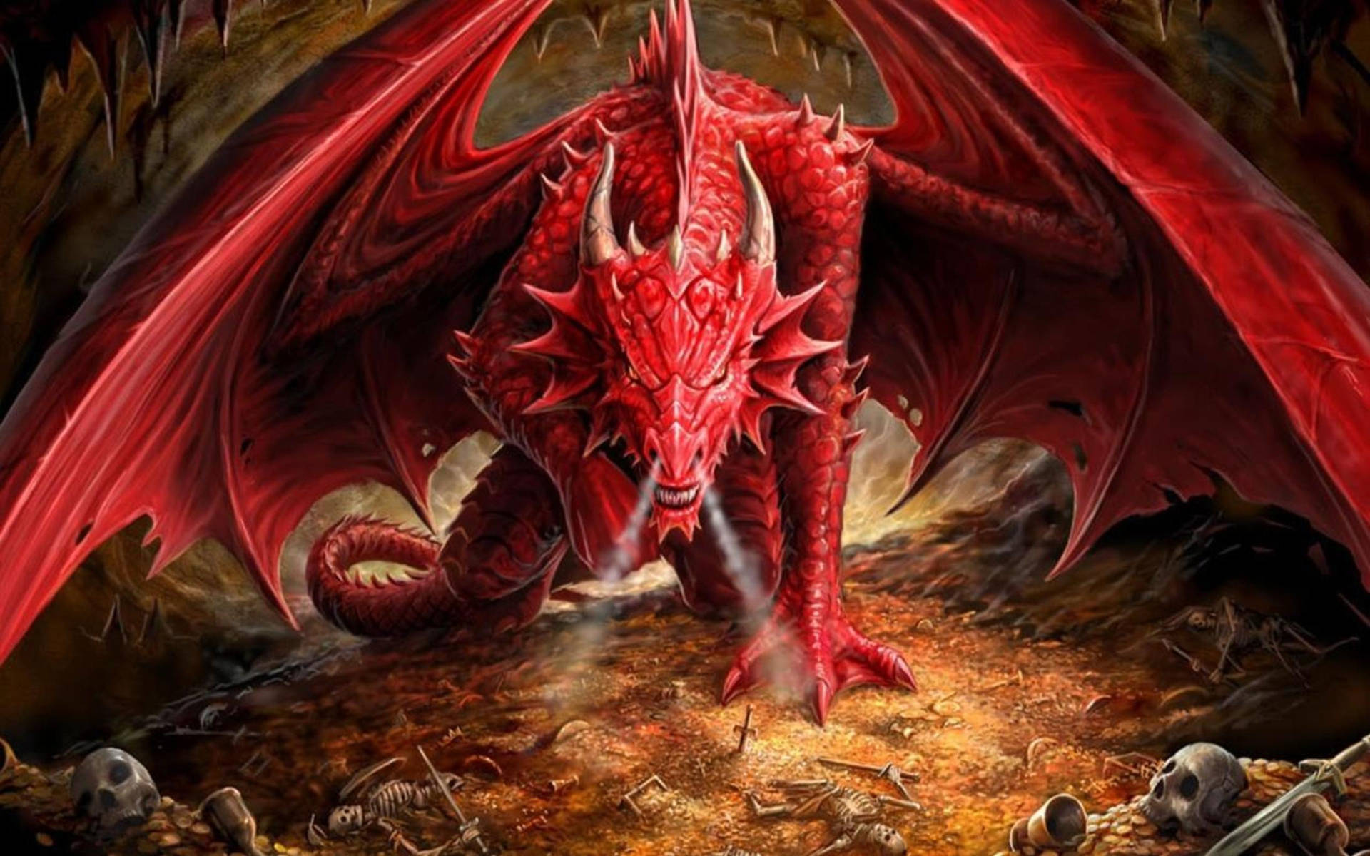 Hd Dragon Pale Red Background
